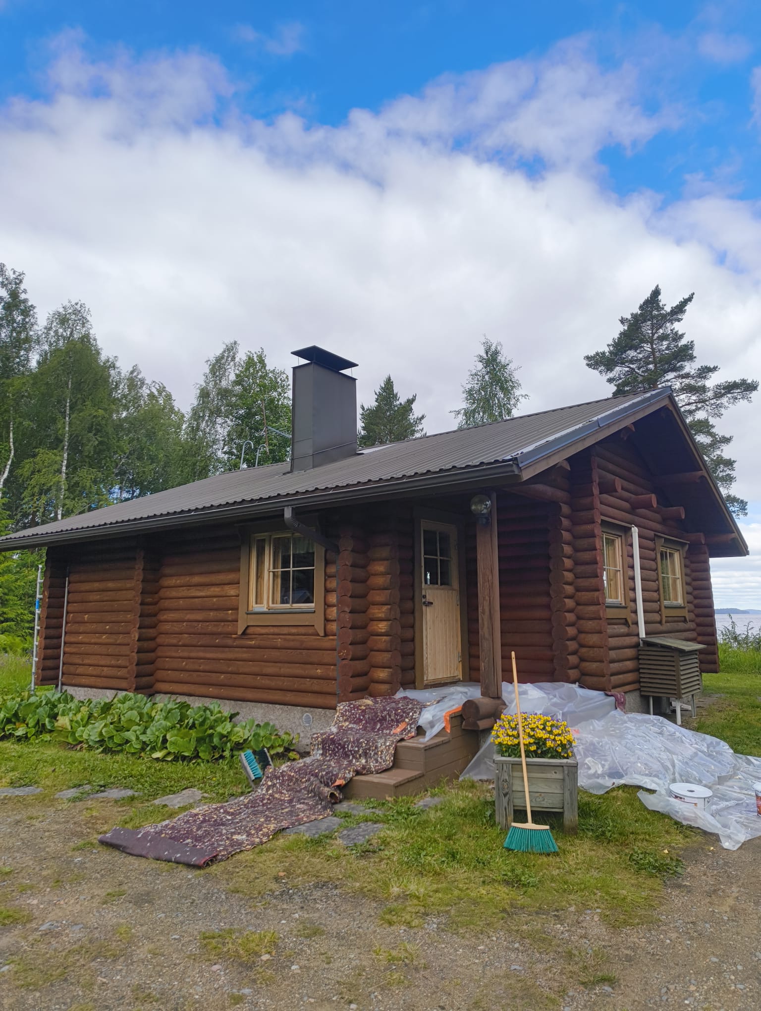 Pinta ennen käsittelyä