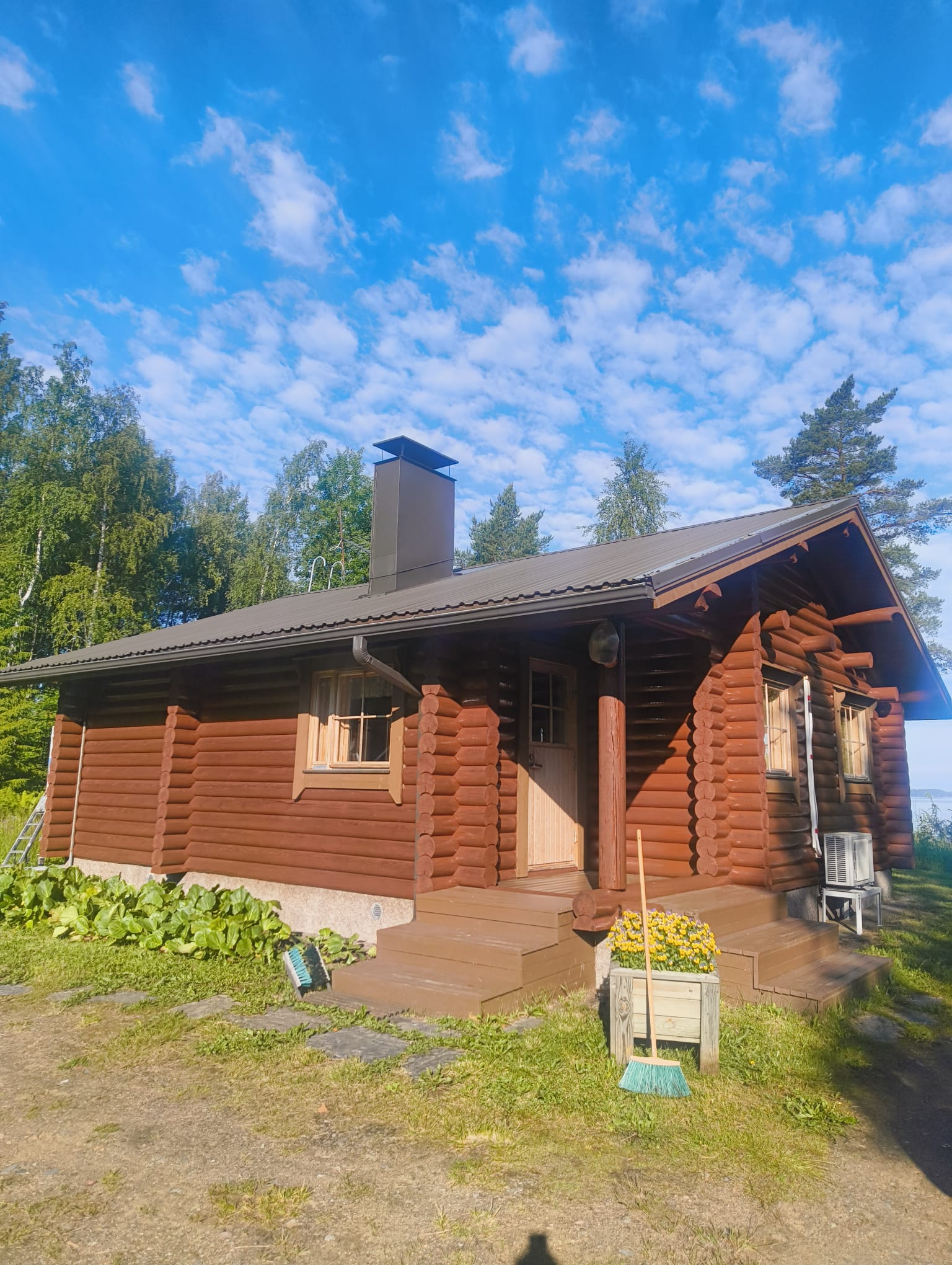 Pinta käsittelyn jälkeen